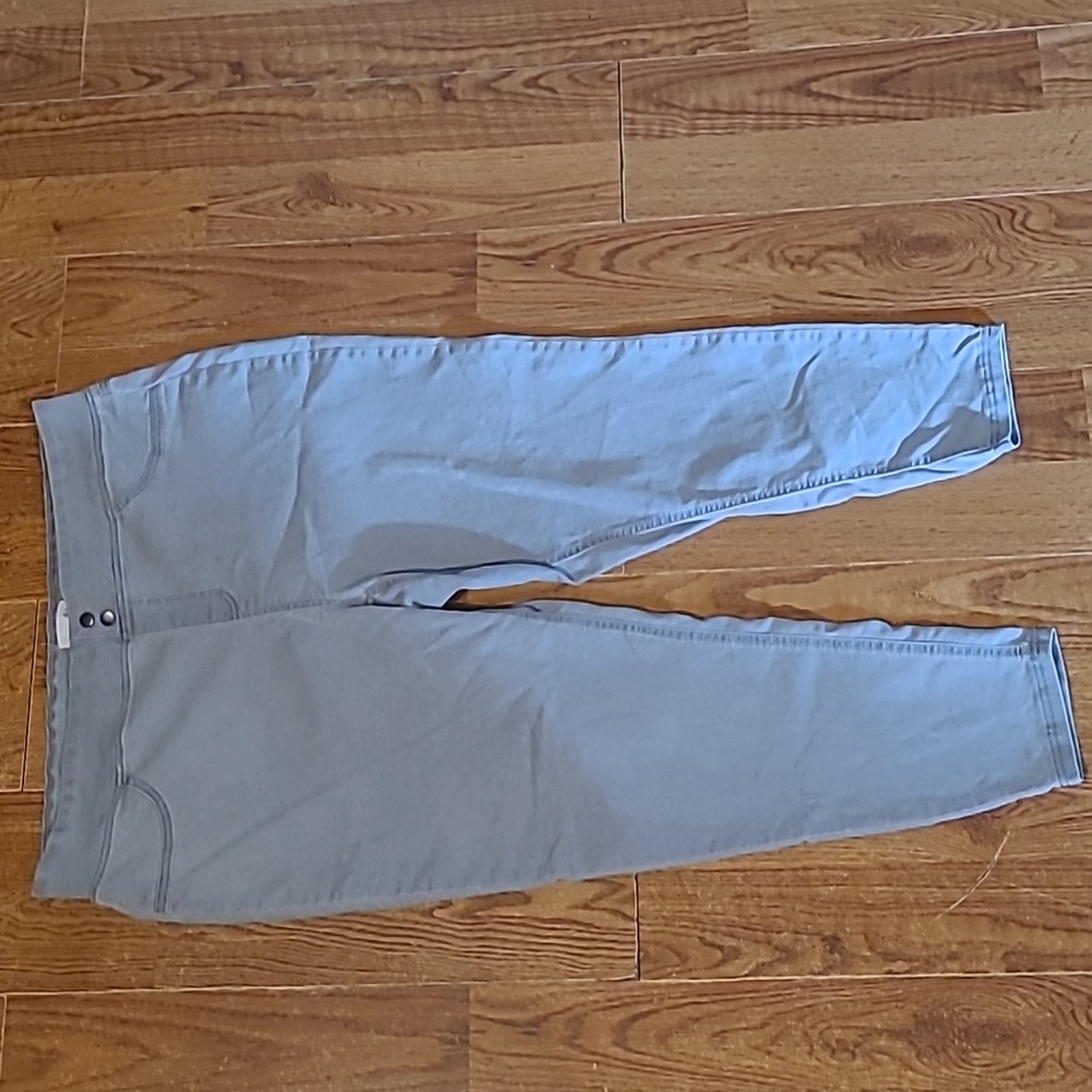 Terra & Sky Jeggings Size 2x